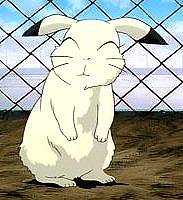 Mimika the rabbit from Usagi-chan