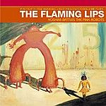 Flaming Lips Yoshimi cover